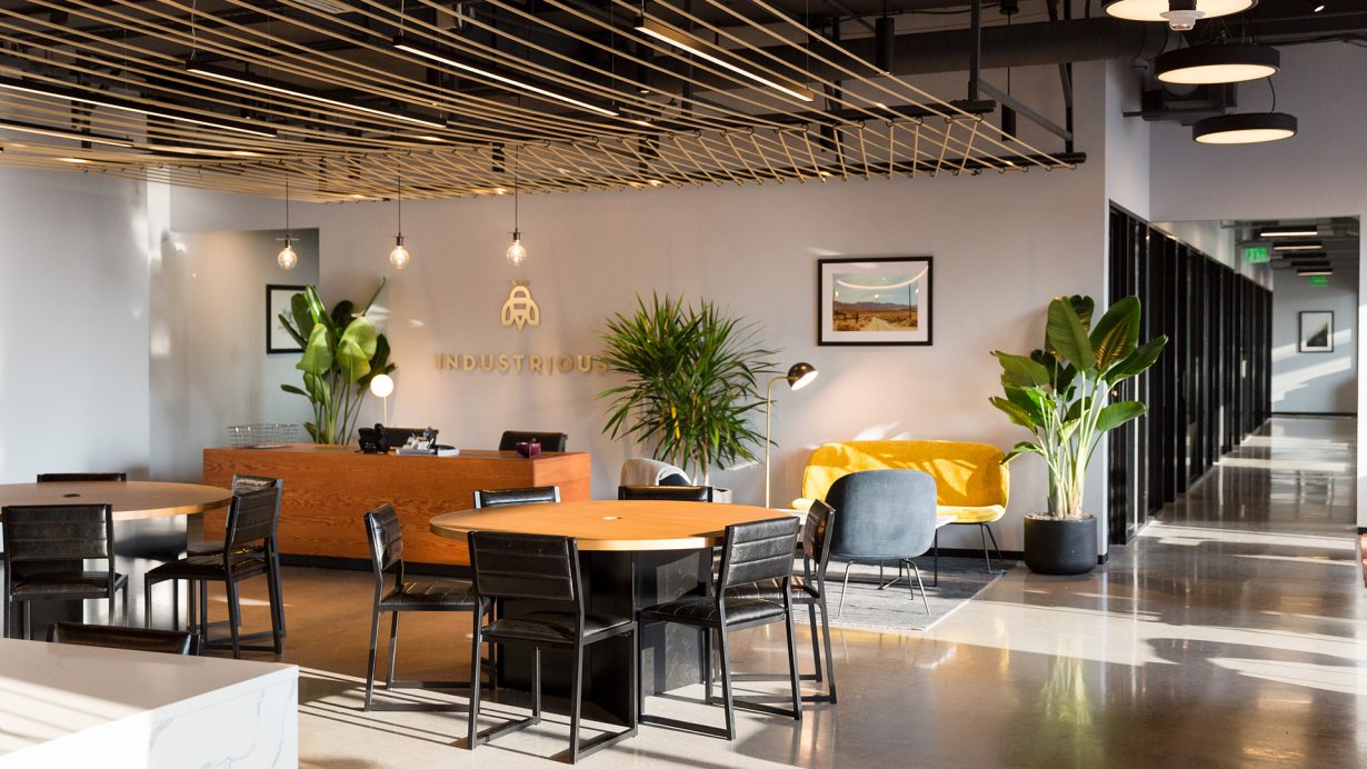 The reception area is warm, bright, and inviting.