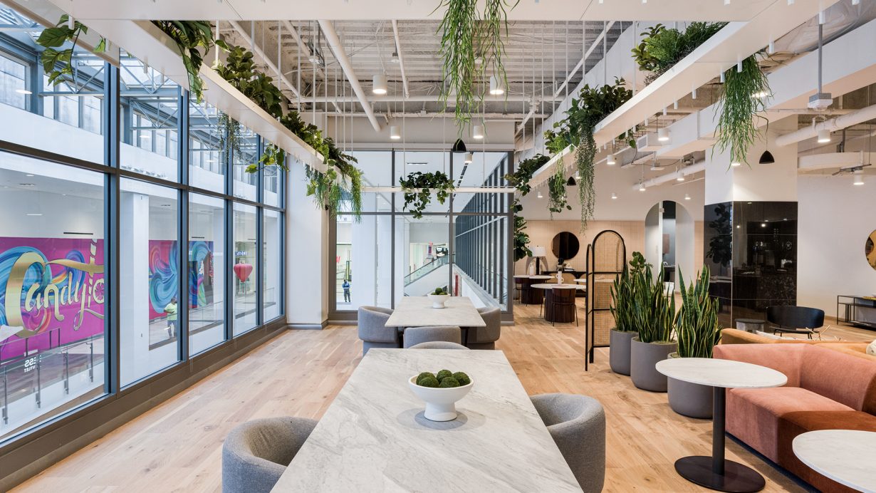 Greenery not only adds warmth to the location but also has been shown to reduce stress.