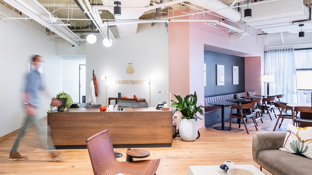 A welcoming, light-filled reception area greets members and visitors.