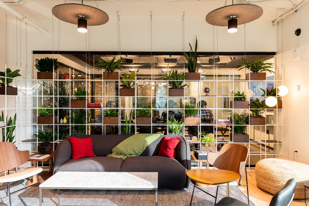 Plenty of greenery creates a warm and inviting atmosphere in Industrious Bethesda.