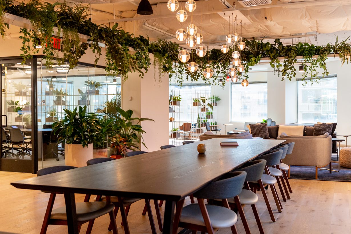 Oak wood flooring and plant-lined ceilings add warmth to the space.