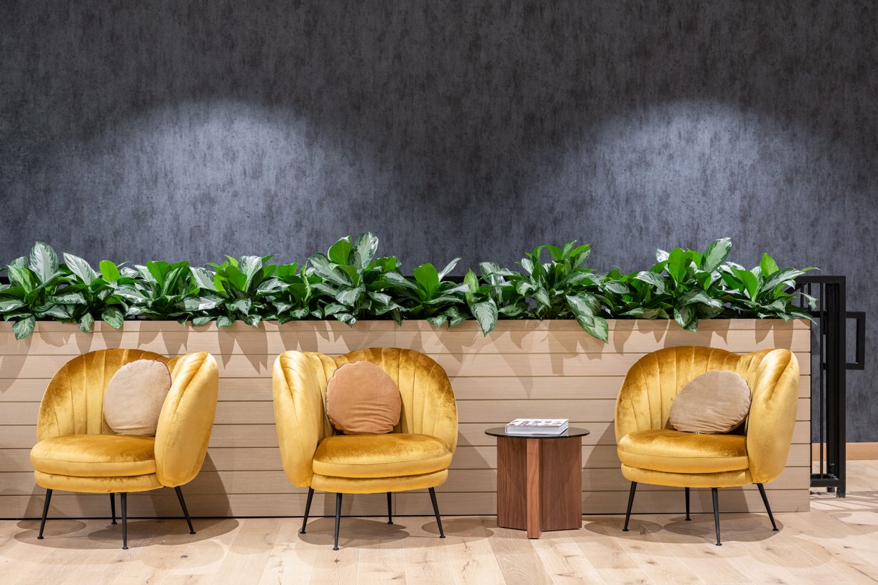 Plants — which have been shown to reduce stress — can be found throughout the workplace.